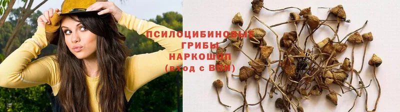 Галлюциногенные грибы GOLDEN TEACHER  Магас 